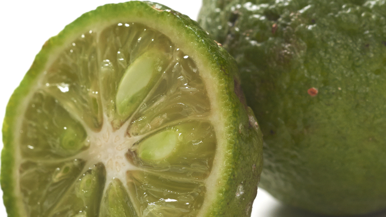 FA-21