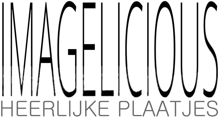 Imagelicious